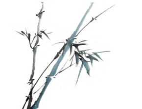 姓张男孩响亮霸气名字(姓张男孩响亮霸气名字大全) 姓张男孩响亮霸气名字(姓张男孩响亮霸气名字大全)