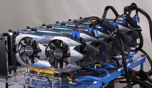 4000万只“绝育雄蚊”出战 4000万只“绝育雄蚊”出战