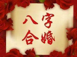 算八字合婚（算八字合婚一般问什么问题）