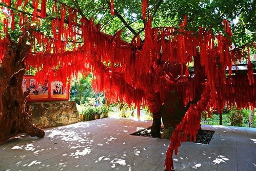 八字测单身姻缘（八字看单身）