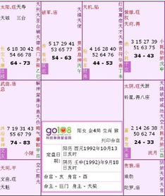 紫薇命盘免费排盘(紫薇命盘免费解析) 紫薇命盘免费排盘(紫薇命盘免费解析)