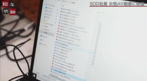 一个女的重新开始昵称(一个女的重新开始昵称开启人生路) 一个女的重新开始昵称(一个女的重新开始昵称开启人生路)