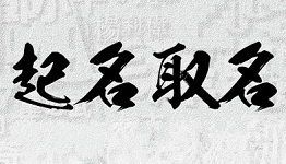 公司测名打分免费测试1518（公司测名打分免费测试）