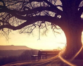 qq昵称有什么好听的名字(qq昵称哪些好听) qq昵称有什么好听的名字(qq昵称哪些好听)