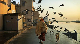 子弟兵的背永远是最坚实的依靠