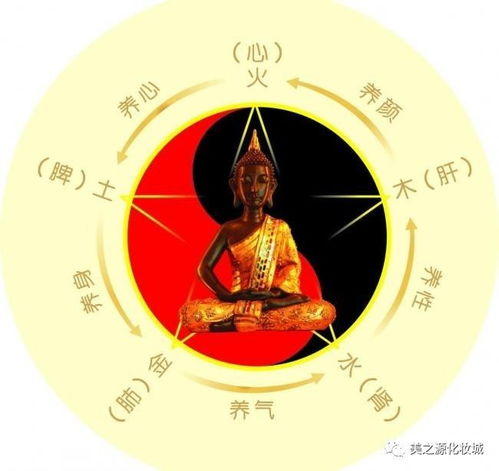 五行属木的女孩名字大全(五行属性木的女孩名字) 五行属木的女孩名字大全(五行属性木的女孩名字)