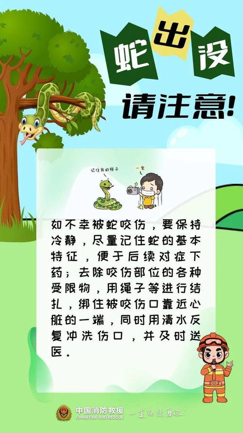 属蛇男孩名字最佳用字(男孩起名字大全免费2025年属蛇) 属蛇男孩名字最佳用字(男孩起名字大全免费2025年属蛇)