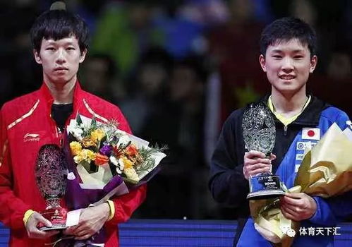 张本智和回应“告状”希望多些尊重 张本智和回应“告状”希望多些尊重