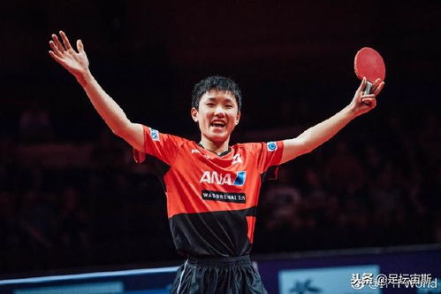 张本智和回应“告状”希望多些尊重 张本智和回应“告状”希望多些尊重