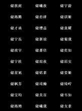 网名起名（ai一键取名）