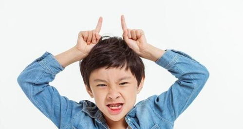 刘姓宝宝名字大全男孩(2021年刘姓宝宝男孩取什么名字好) 刘姓宝宝名字大全男孩(2021年刘姓宝宝男孩取什么名字好)