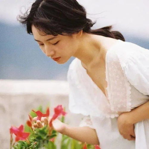 心若芷萱(心若芷萱的寓意和象征) 心若芷萱(心若芷萱的寓意和象征)