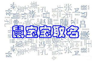 起名字2021免费起名女孩（起名网免费取名2020女孩）