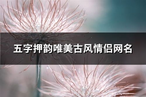 五字网名古风(五字网名古风诗意高冷带星空) 五字网名古风(五字网名古风诗意高冷带星空)