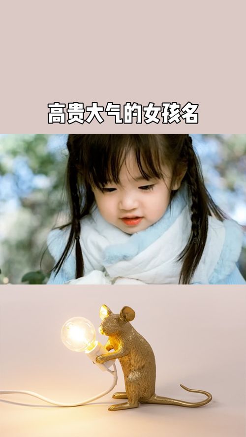 带金字旁高雅的女孩名字(带金字旁好听的女孩名字) 带金字旁高雅的女孩名字(带金字旁好听的女孩名字)