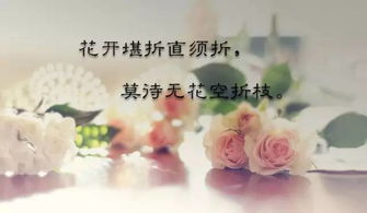 高冷又随性的句子(高冷又随性的句子关于爱情) 高冷又随性的句子(高冷又随性的句子关于爱情)