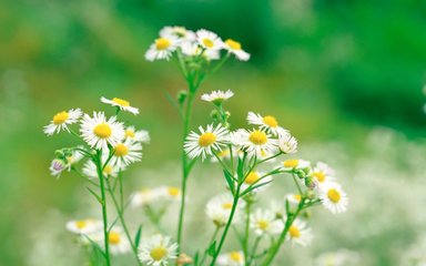 属火的字大全 女孩名字(属火的字大全女孩名字大全集) 属火的字大全 女孩名字(属火的字大全女孩名字大全集)