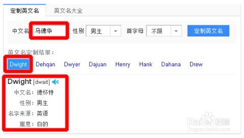 输入中文名生成英文名（输入中文名生成英文名字）