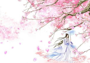 唯美名字 古风诗意(意境美到极致的名字) 唯美名字 古风诗意(意境美到极致的名字)