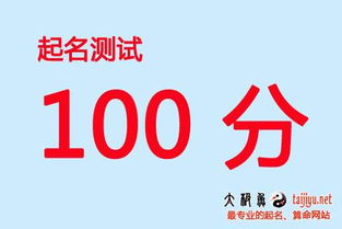 起名免费取名打分（起名网免费取名打分100分）