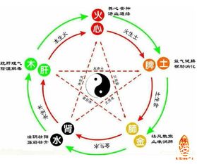 五行属金适合女孩的字(五行属金,女孩用的字有哪些? 五行属金适合女孩的字(五行属金,女孩用的字有哪些?