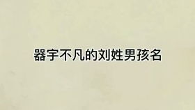 适合刘姓男孩的名字（适合刘姓男孩的名字两个字）