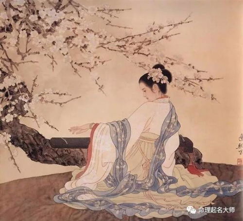 女诗经取名禾（诗经取名 禾）