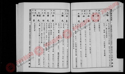 王氏家谱字辈大全王氏家谱（王氏家谱字辈大全王氏家谱河南）