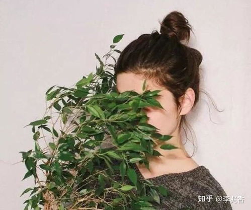 好听可爱的网名(女生好听可爱的网名) 好听可爱的网名(女生好听可爱的网名)