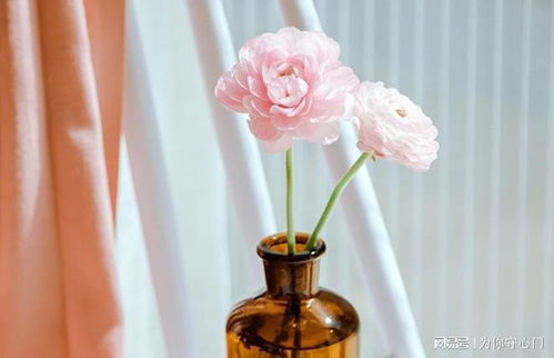 好听优雅简洁的名字大全(简单又不失优雅的名字) 好听优雅简洁的名字大全(简单又不失优雅的名字)