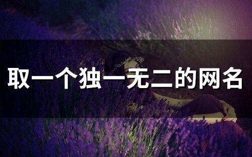 情侣网名英文独一无二(情侣网名英文带翻译独一无二) 情侣网名英文独一无二(情侣网名英文带翻译独一无二)