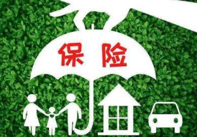 寓意好的农业公司名称(农业最旺的三个名字) 寓意好的农业公司名称(农业最旺的三个名字)