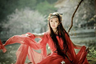 qq签名古风唯美短句（qq签名古风唯美简短）