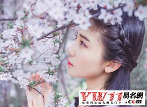 qq签名古风唯美短句（qq签名古风唯美简短）