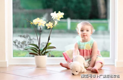 新生女孩取名大全免费(新生女孩起名免费) 新生女孩取名大全免费(新生女孩起名免费)