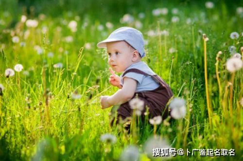 诗经里好听的名字男孩(诗经中最唯美的名字男孩名字) 诗经里好听的名字男孩(诗经中最唯美的名字男孩名字)