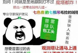 永久免费的网名（暴躁老阿姨csgo技能推荐大全）