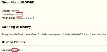 英文昵称小众高级(英语昵称小众) 英文昵称小众高级(英语昵称小众)