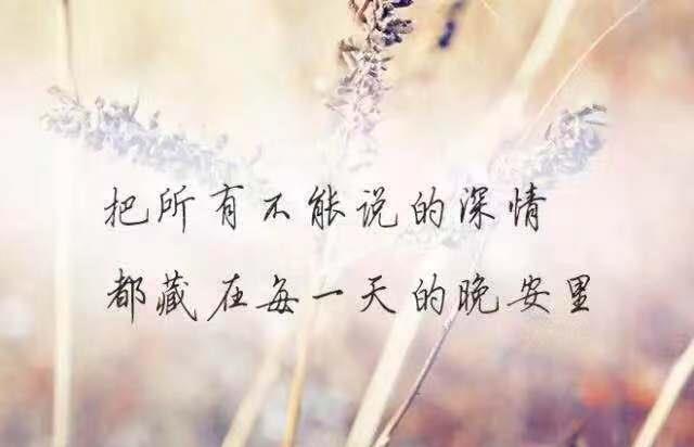 让对方看到心疼的句子(伤感的句子让对方看到心疼的句子) 让对方看到心疼的句子(伤感的句子让对方看到心疼的句子)