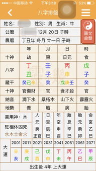 八字命盘解析对照表（八字命盘含义）