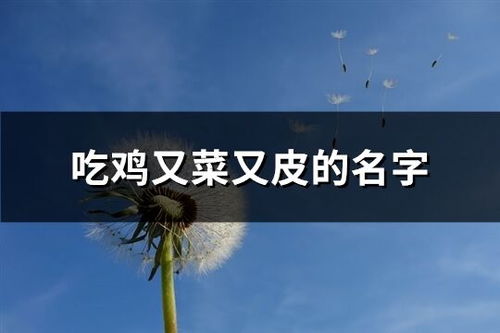 选一个好听的网名(选一个好听的网名英文) 选一个好听的网名(选一个好听的网名英文)