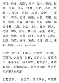 经典微信网名昵称大全（经典微信网名昵称大全霸气）