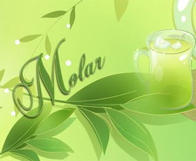 设计自己的名字logo（设计自己的名字手抄报）