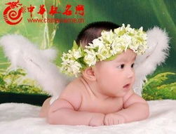 龙年宝宝取名字大全免费(龙年宝宝起名) 龙年宝宝取名字大全免费(龙年宝宝起名)