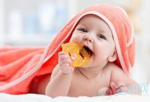 好听稀少的小名（好听的小名有什么）