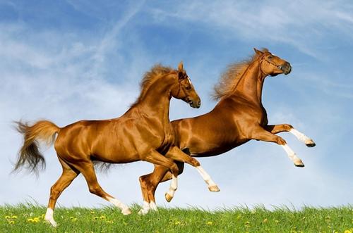 好听男孩名(马亦什么好听男孩名) 好听男孩名(马亦什么好听男孩名)