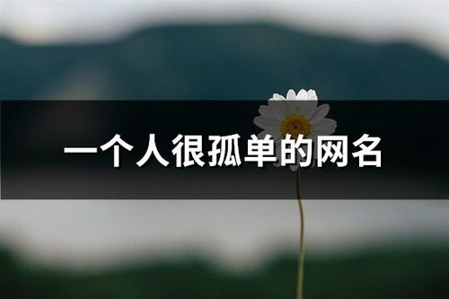 只为一人的网名(只为一人的网名昵称) 只为一人的网名(只为一人的网名昵称)