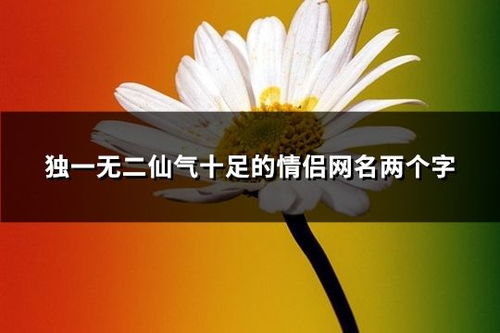 好听情侣名字一对简洁仙气（好听得情侣名字）