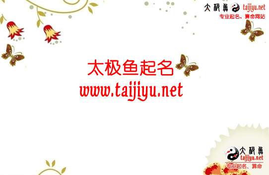 太极鱼起名网免费测名(太极鱼取名网官方网站) 太极鱼起名网免费测名(太极鱼取名网官方网站)