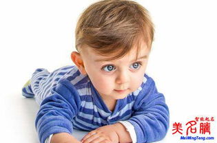 姓李洋气点的男孩名字(姓李好听有涵养的男孩名字) 姓李洋气点的男孩名字(姓李好听有涵养的男孩名字)